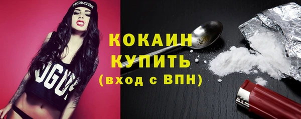 индика Балахна