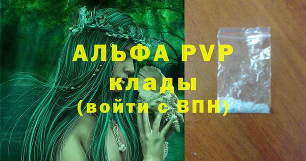 индика Балахна