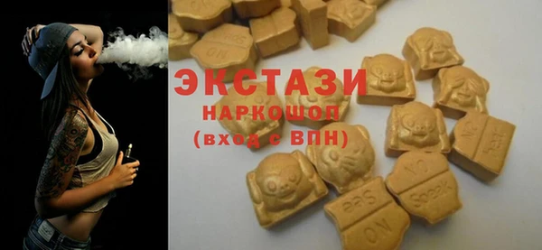 индика Балахна
