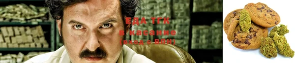 индика Балахна