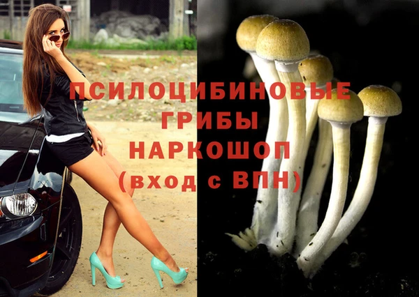 гидра Аркадак