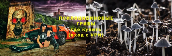 Альфа ПВП Арсеньев