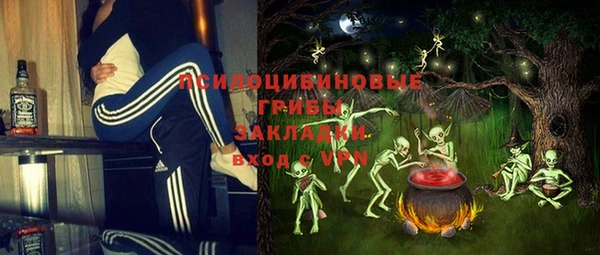 индика Балахна