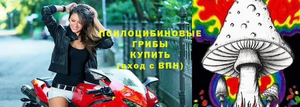 Альфа ПВП Арсеньев