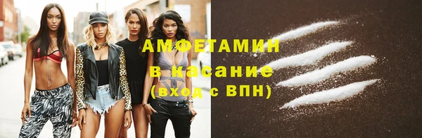 гидра Аркадак