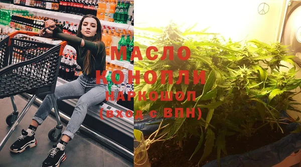индика Балахна