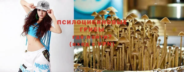 гидра Аркадак