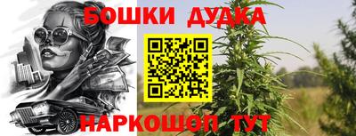 сатива Изобильный