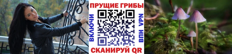 darknet как зайти  Мурманск  Псилоцибиновые грибы мухоморы 
