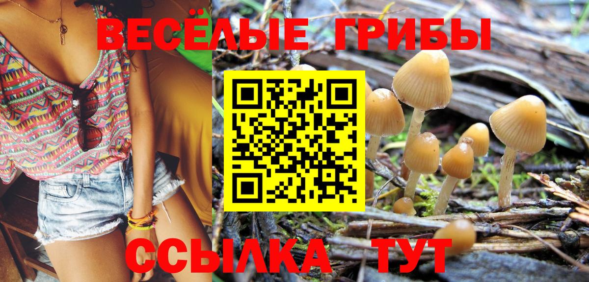 Псилоцибиновые грибы GOLDEN TEACHER  Галлюциногенные грибы прущие грибы  Мурманск  Вход с VPN 