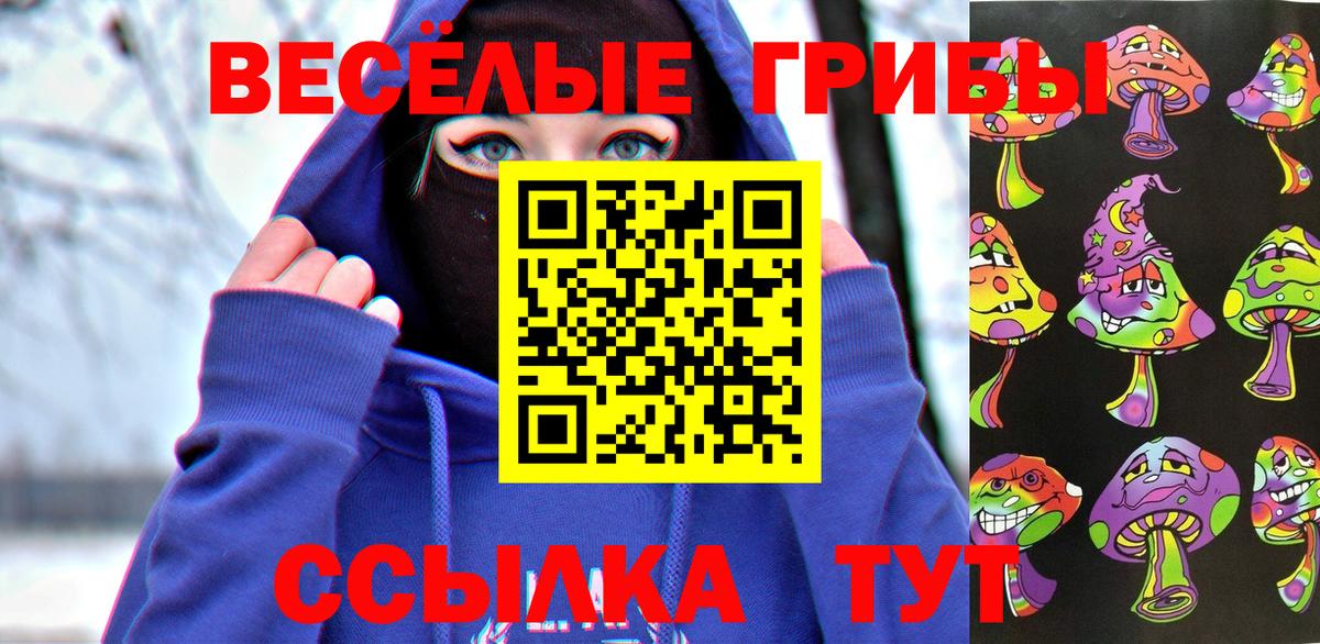 Магазины продажи наркотиков  COCAIN  Гашиш  Каннабис  Вход с VPN  COCAIN  Мурманск  Меф МЯУ МЯУ  МЕФ кристаллы 